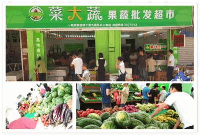 菜大蔬再添新成员，两家体验店齐开业！新鲜蔬菜零售焕新体验