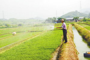 沃尔玛在塘厦建立东莞首个农超对接基地，新鲜蔬菜直供零售